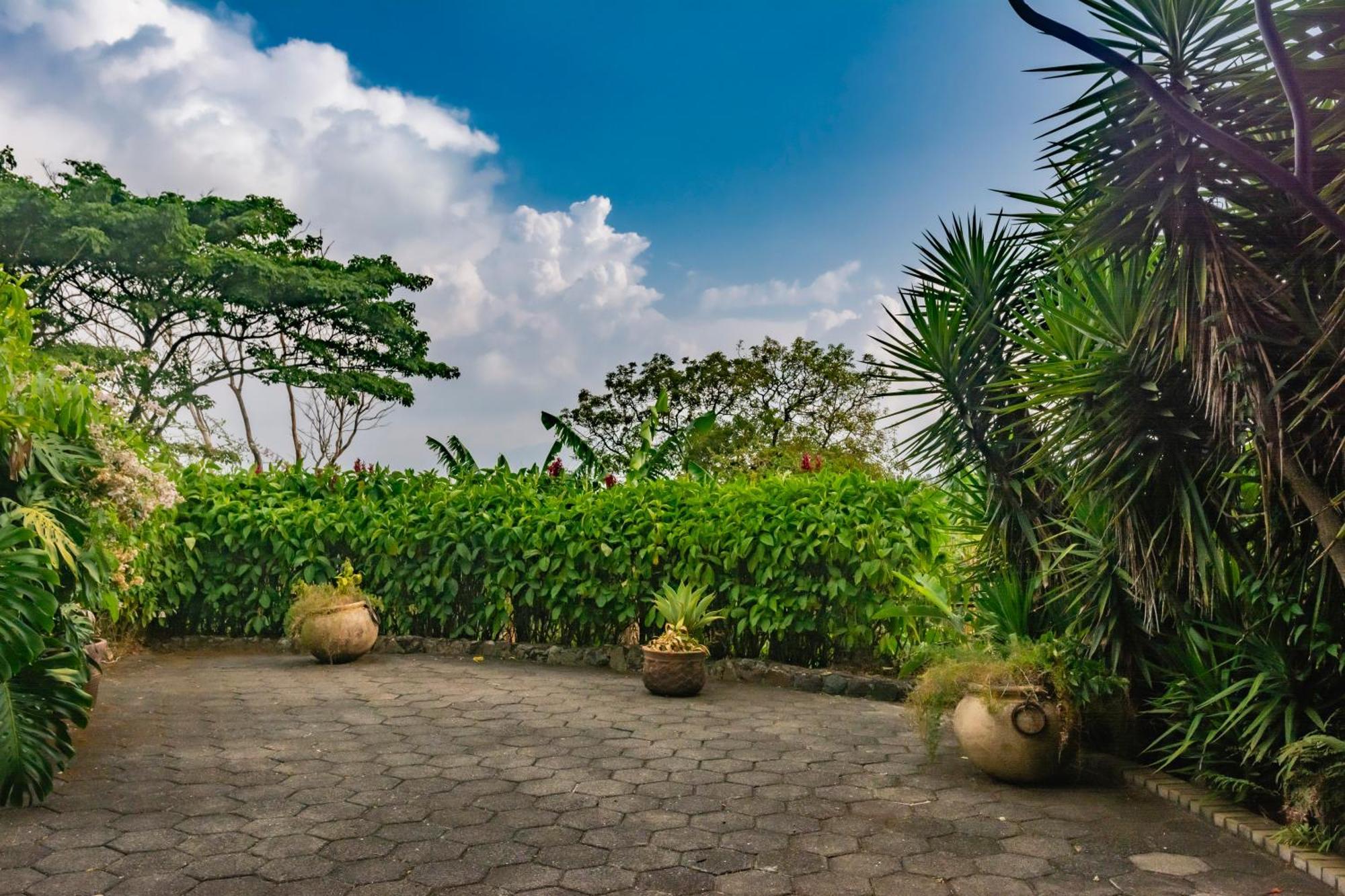 Finca Rosa Blanca Coffee Farm And Inn Heredia Exteriör bild
